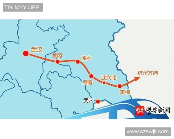 武汉乒乓球队的运营策略分析与发展前景探讨