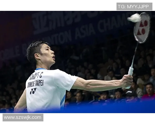 武汉羽毛球队在羽毛球状态排行榜中荣登第九名展现出强劲实力与潜力