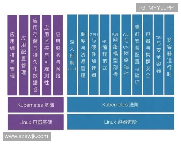 深入分析北京羽毛球队防反战术的独特魅力与实战应用