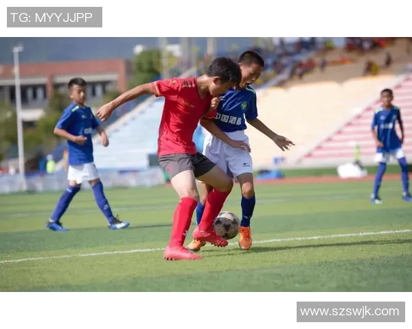 南京足球队的拼搏历程与荣耀时刻全景回顾